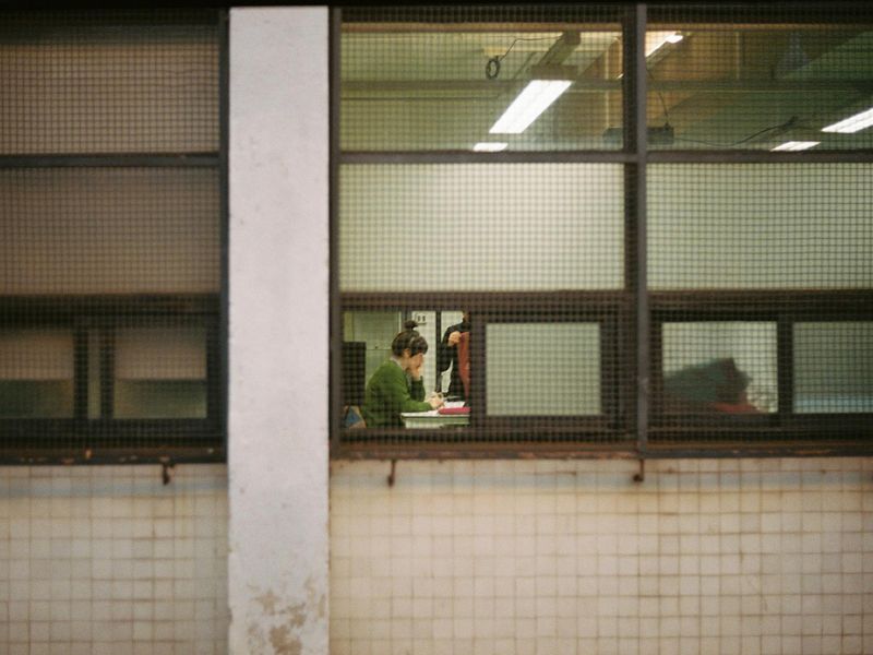 Serene landscape view from a modern office window.